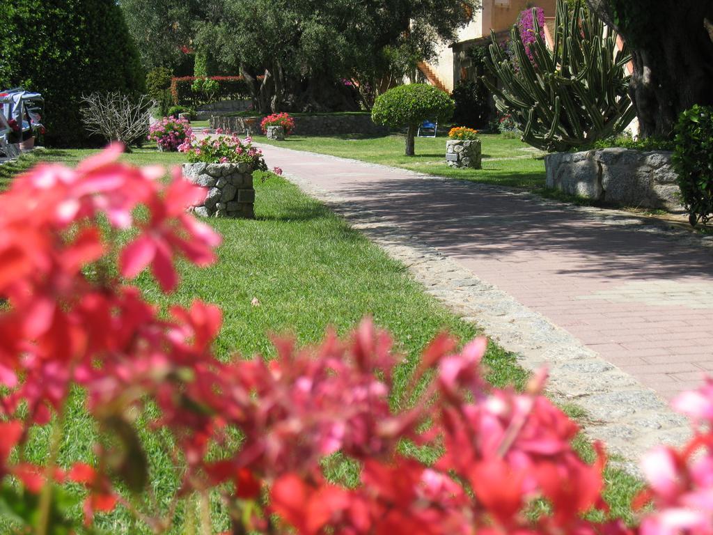 Villaggio L'Olivara トロペーア エクステリア 写真